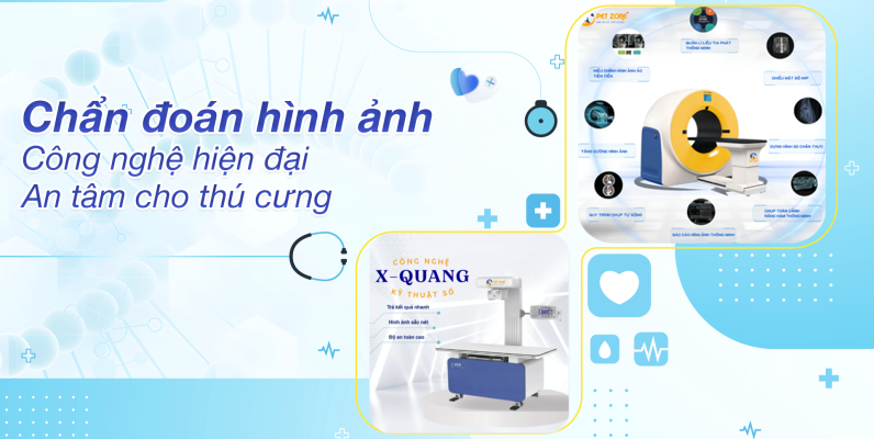 Banner chẩn đoán hình ảnh