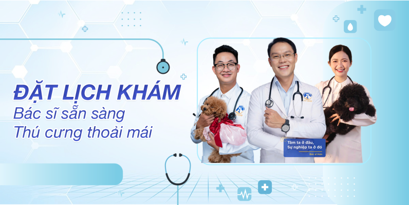banner đặt lịch khám