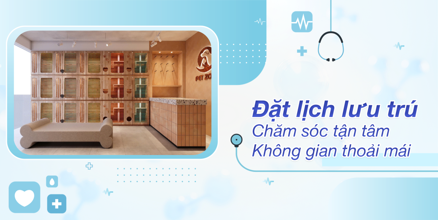 đặt lịch lưu trú