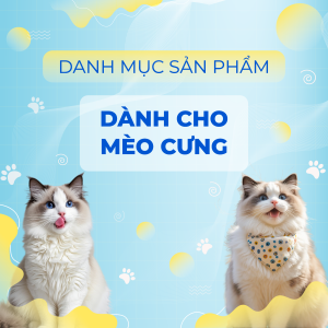 DÀNH CHO MÈO